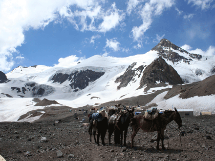 Aconcagua Expedition in Argentinein und zum 6962 m höchsten Berg Amerikas!