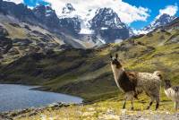 Bolivien Trekkingtour