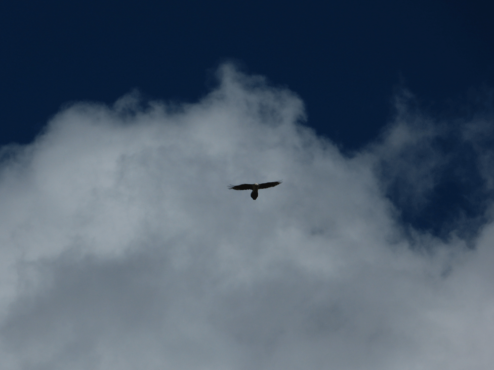 Elbrus Besteigung - massimo REISEN