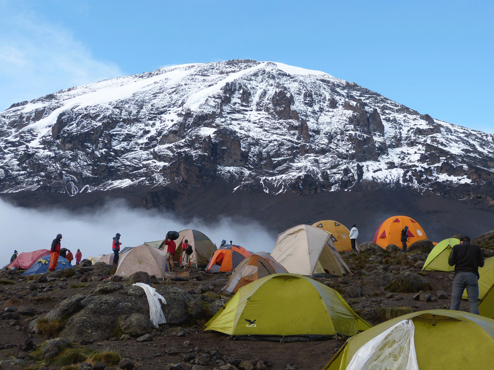 Kilimanjaro Besteigung & Safaris in Tansania!