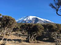 Tansania Kilimanjaro Besteigung