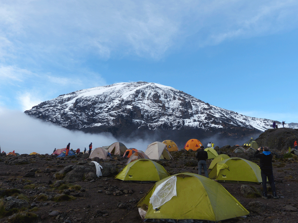 Kilimanjaro Northern Circuit - massimo REISEN