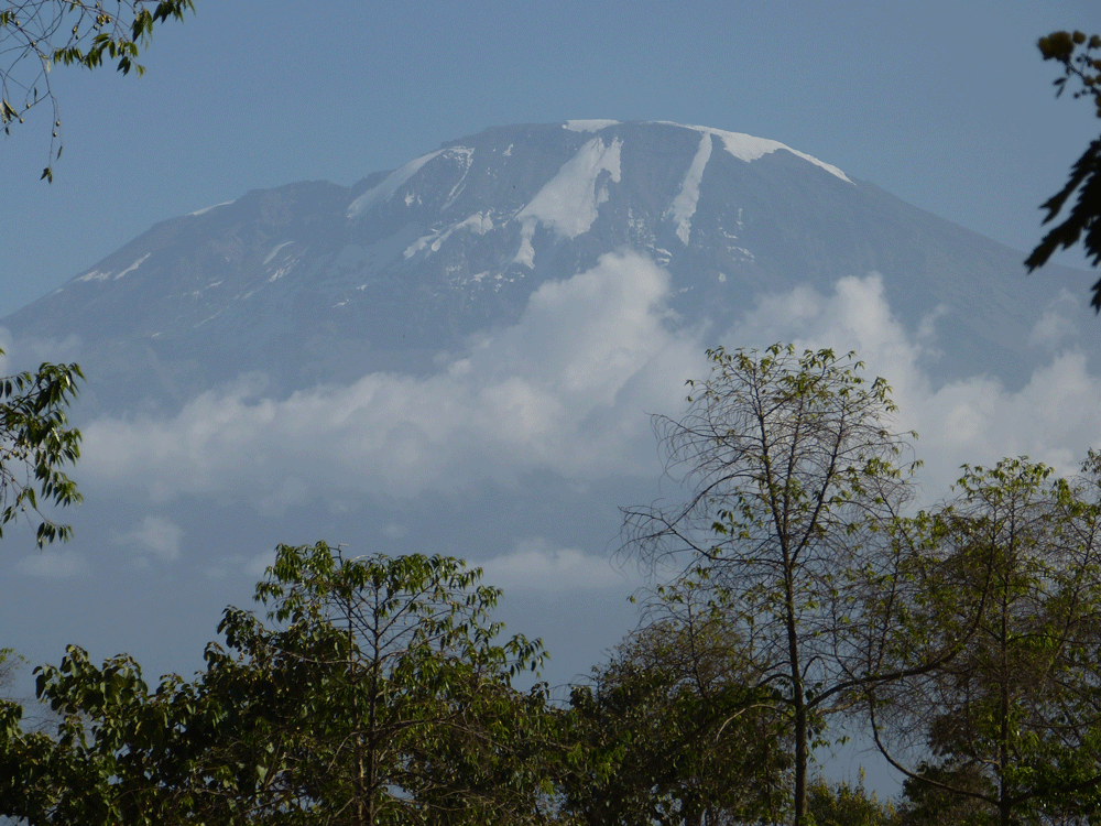 Kilimanjaro &amp; Safari - massimo REISEN