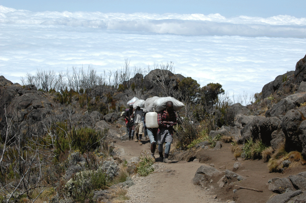 Kilimanjaro Besteigung - Trekking über den Wolken