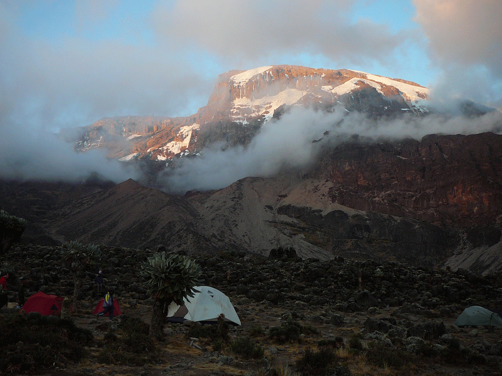 Kilimanjaro & Safari - massimo REISEN