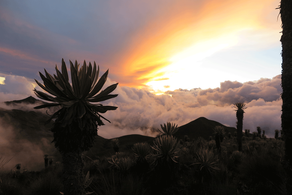Kolumbien Naturwunder