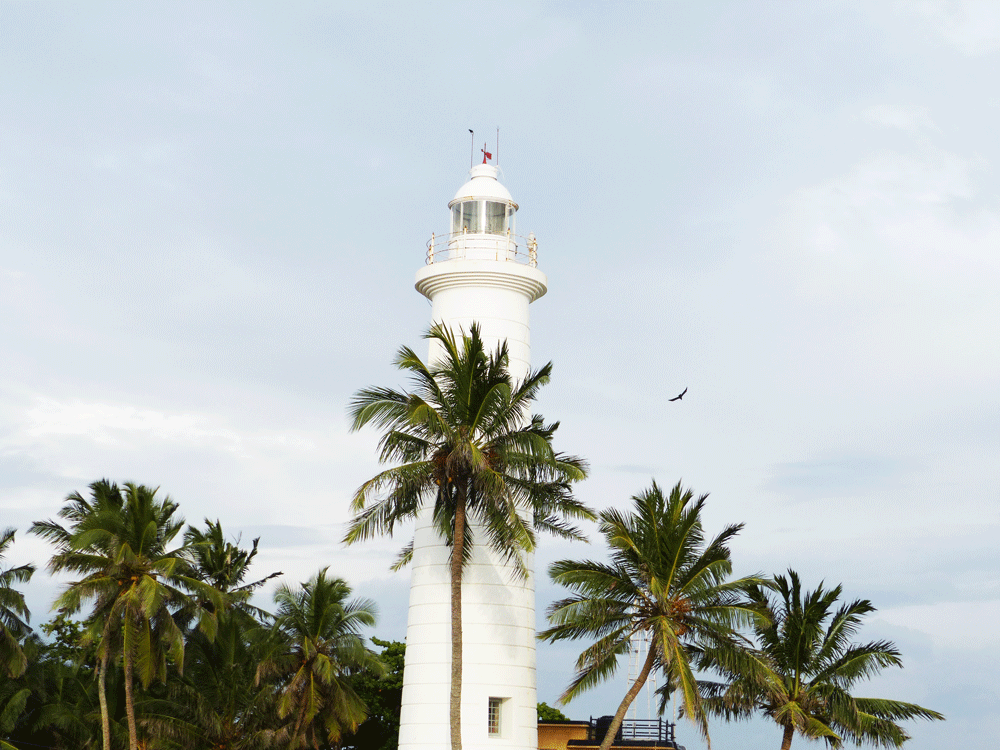 Sri Lanka der schärfste Inselstaat im Indischen Ozean - Aktivtour mit massimo REISEN